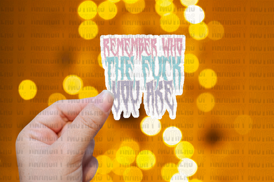Remember Who The Fuck You Are Sticker